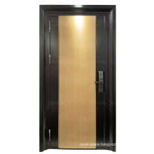 Kenya Style Factory Price Easy Maintenance Stainless Steel Front Door Design